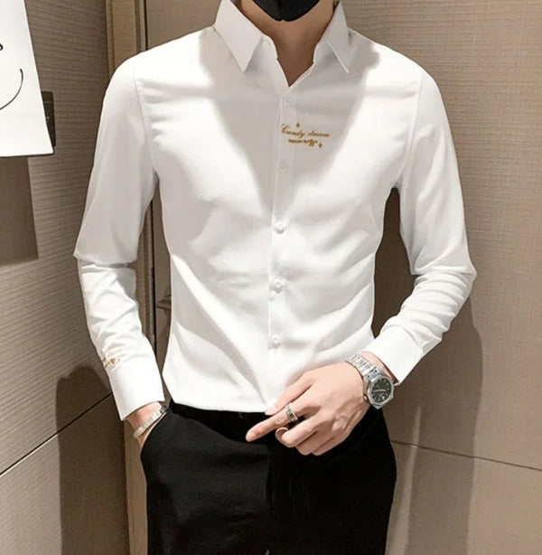 Elegant men's embroidered white long sleeve shirt with turn-down collar, perfect for casual and social events.
