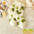 Women's Cozy Mink Fur Cartoon Animal Sleep Socks, Cute Frog Design