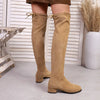 Chic over-the-knee women's winter boots with flannel upper, pointed toe, and square heel for stylish cold weather wear.