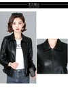 Chic women's sheepskin leather jacket with zippered front, turn-down collar, and pockets for stylish autumn layering.