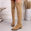 Chic over-the-knee women's winter boots with flannel upper, pointed toe, and square heel for stylish cold weather wear.