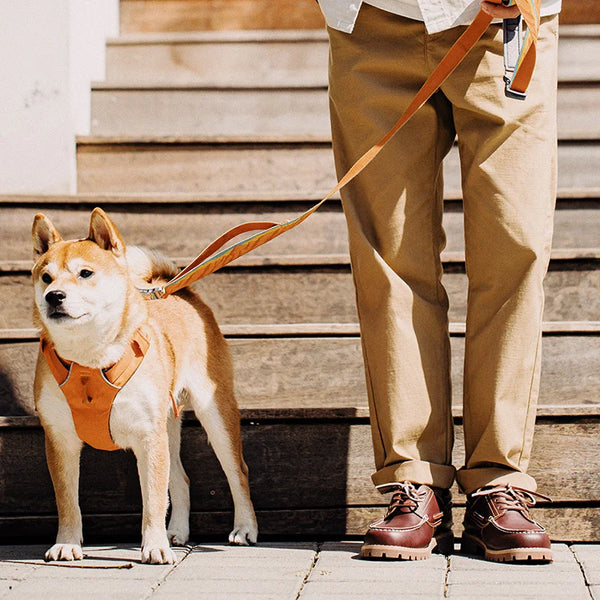 Classic red brown leather derby shoes with traditional lace-up closure
