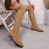 Chic over-the-knee women's winter boots with flannel upper, pointed toe, and square heel for stylish cold weather wear.