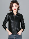 Chic women's sheepskin leather jacket with zippered front, turn-down collar, and pockets for stylish autumn layering.