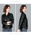 Chic women's sheepskin leather jacket with zippered front, turn-down collar, and pockets for stylish autumn layering.