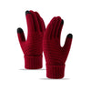 Windproof Fleece-Lined Cycling Gloves for Cold Weather in Multiple Colors